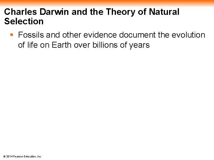 Charles Darwin and the Theory of Natural Selection § Fossils and other evidence document