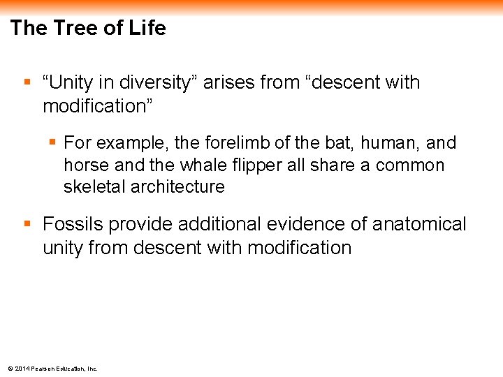 The Tree of Life § “Unity in diversity” arises from “descent with modification” §