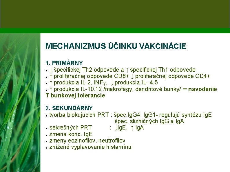 MECHANIZMUS ÚČINKU VAKCINÁCIE 1. PRIMÁRNY ↓ špecifickej Th 2 odpovede a ↑ špecifickej Th