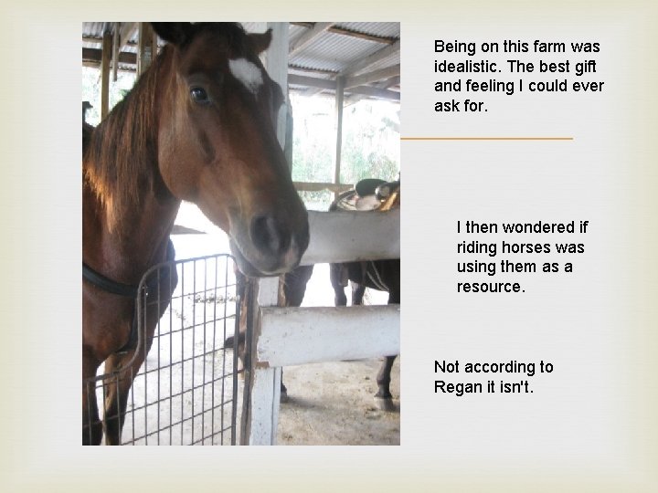  Being on this farm was idealistic. The best gift and feeling I could