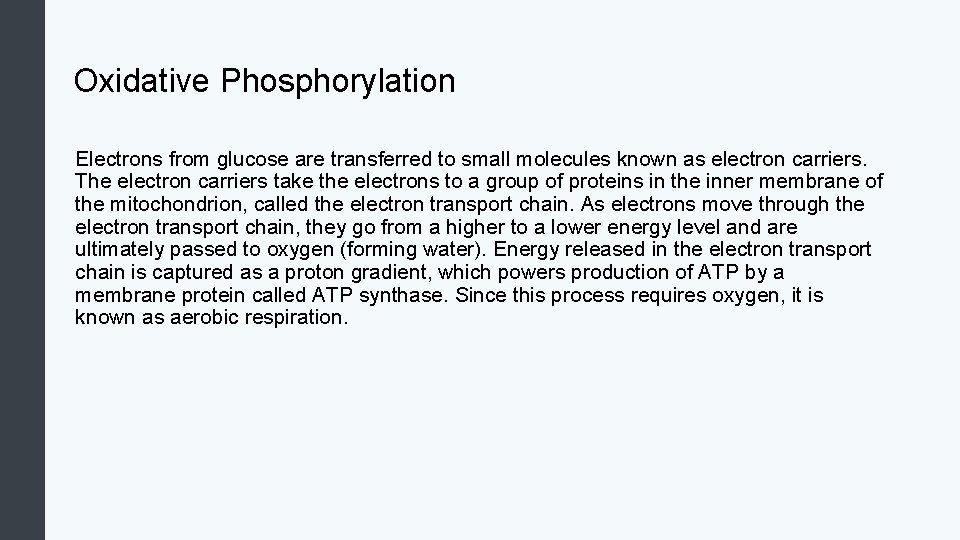 Oxidative Phosphorylation Electrons from glucose are transferred to small molecules known as electron carriers.