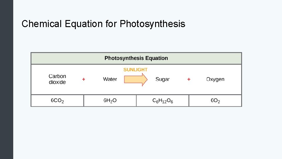 Chemical Equation for Photosynthesis 