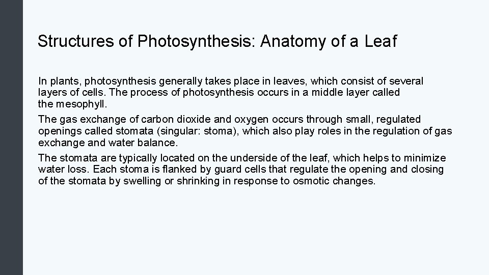 Structures of Photosynthesis: Anatomy of a Leaf In plants, photosynthesis generally takes place in