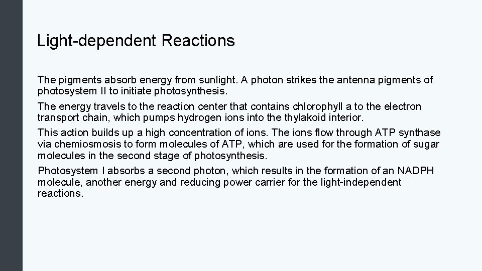 Light-dependent Reactions The pigments absorb energy from sunlight. A photon strikes the antenna pigments