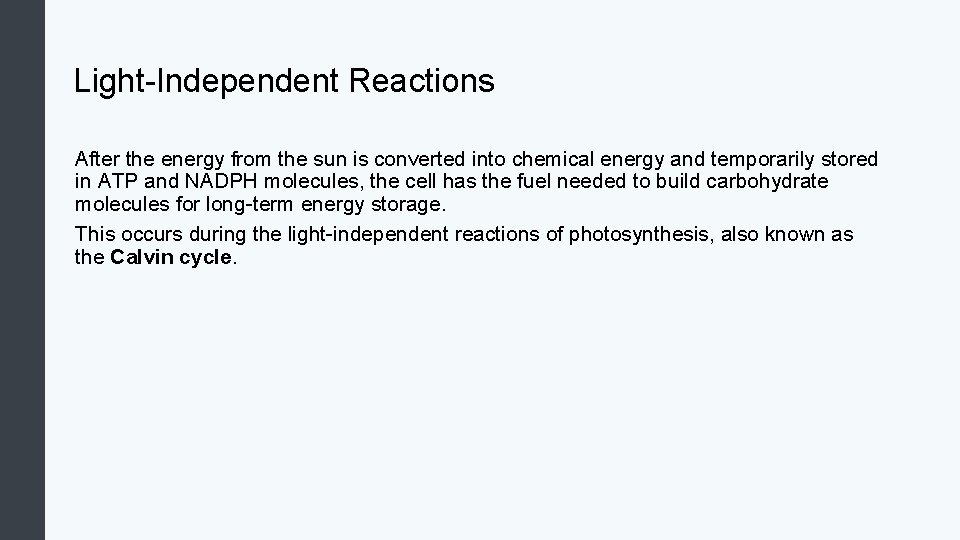 Light-Independent Reactions After the energy from the sun is converted into chemical energy and