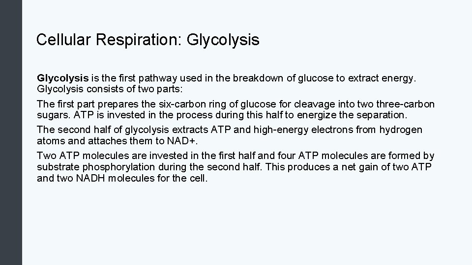 Cellular Respiration: Glycolysis is the first pathway used in the breakdown of glucose to