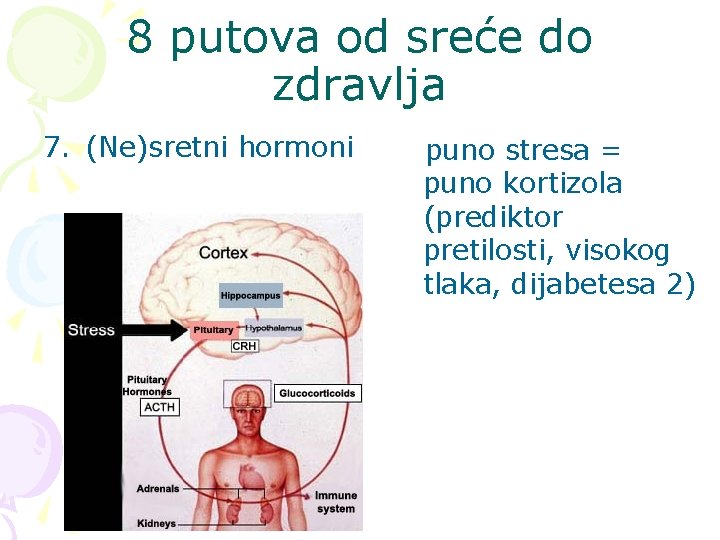 8 putova od sreće do zdravlja 7. (Ne)sretni hormoni puno stresa = puno kortizola