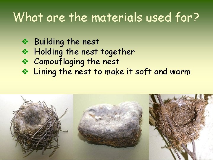 What are the materials used for? v v Building the nest Holding the nest