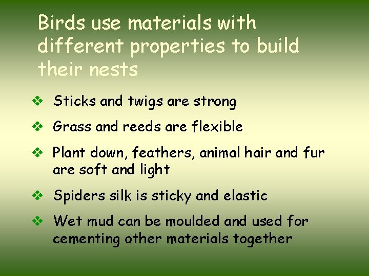 Birds use materials with different properties to build their nests v Sticks and twigs