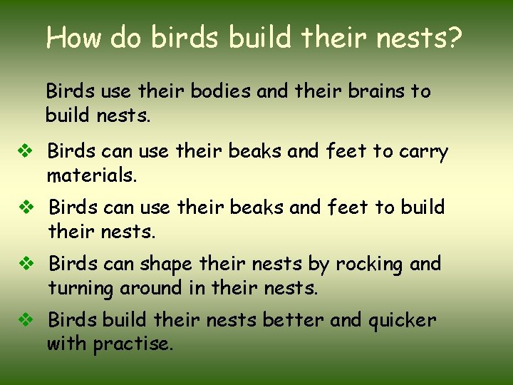 How do birds build their nests? Birds use their bodies and their brains to