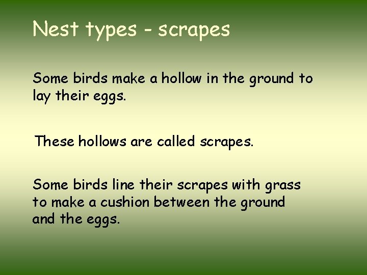 Nest types - scrapes Some birds make a hollow in the ground to lay