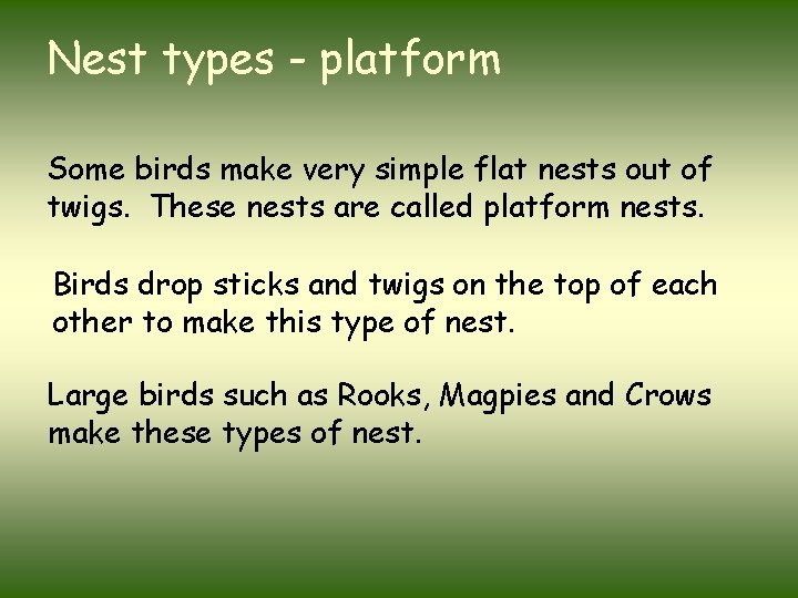 Nest types - platform Some birds make very simple flat nests out of twigs.