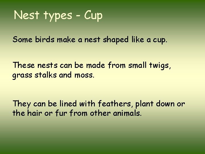 Nest types - Cup Some birds make a nest shaped like a cup. These