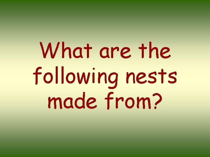 What are the following nests made from? 