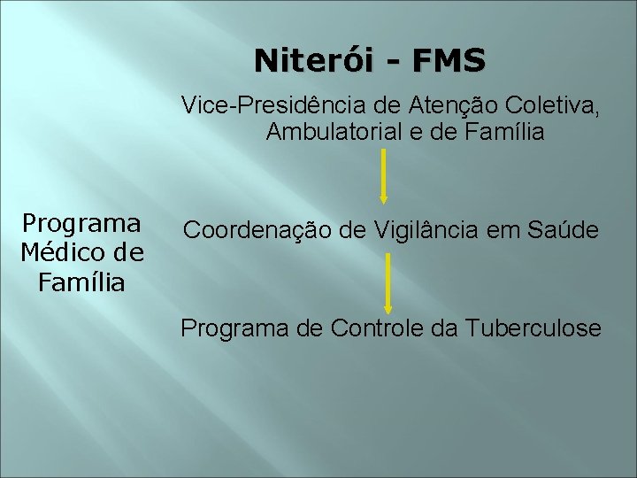 Niterói - FMS Vice-Presidência de Atenção Coletiva, Ambulatorial e de Família Programa Médico de