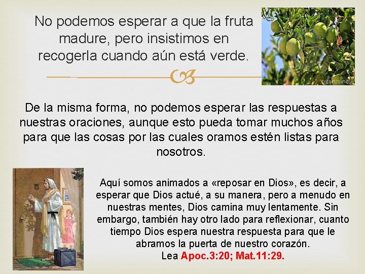 No podemos esperar a que la fruta madure, pero insistimos en recogerla cuando aún