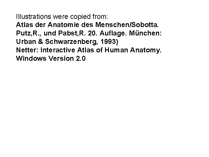 Illustrations were copied from: Atlas der Anatomie des Menschen/Sobotta. Putz, R. , und Pabst,