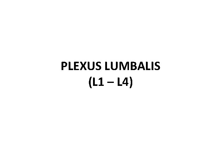 PLEXUS LUMBALIS (L 1 – L 4) 