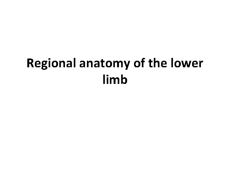 Regional anatomy of the lower limb 