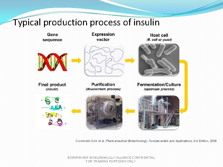 Typical production process of insulin Crommelin DJA et al. Pharmaceutical Biotechnology: Fundamentals and Applications,