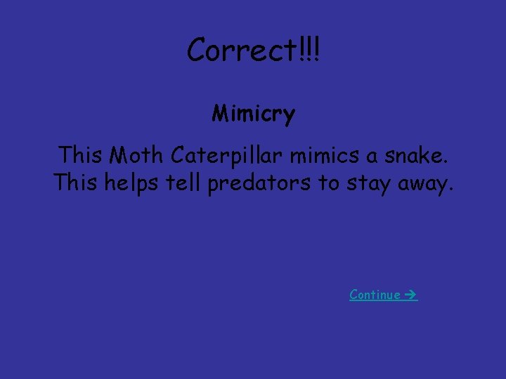 Correct!!! Mimicry This Moth Caterpillar mimics a snake. This helps tell predators to stay