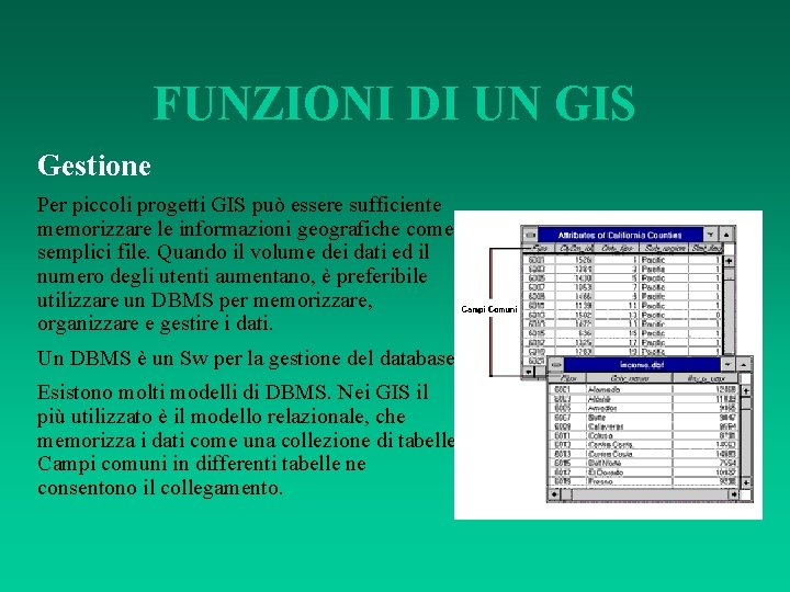 FUNZIONI DI UN GIS Gestione Per piccoli progetti GIS può essere sufficiente memorizzare le