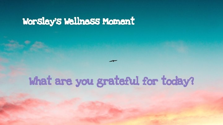 Worsley’s Wellness Moment What are you grateful for today? 