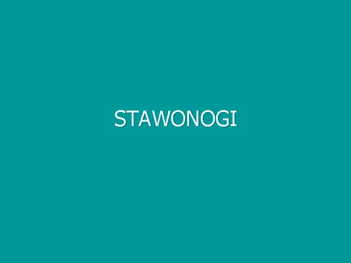 STAWONOGI 