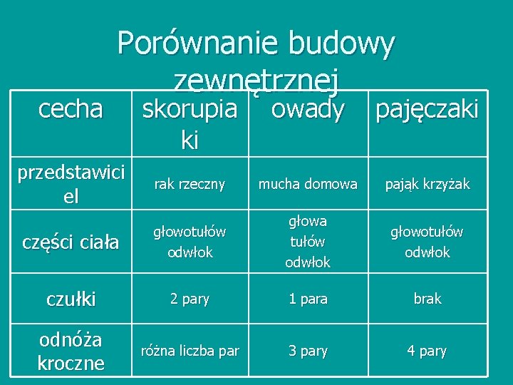 cecha Porównanie budowy zewnętrznej skorupia ki owady pajęczaki przedstawici el rak rzeczny mucha domowa