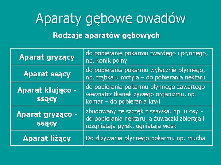 Aparaty gębowe owadów Rodzaje aparatów gębowych Aparat gryzący do pobieranie pokarmu twardego i płynnego,