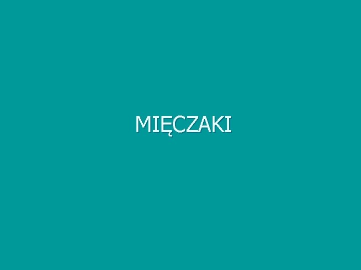 MIĘCZAKI 