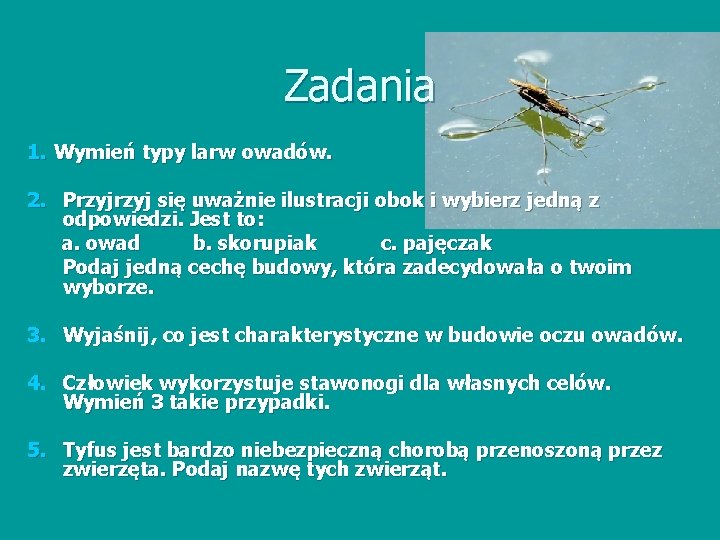 Zadania 1. Wymień typy larw owadów. 2. Przyj się uważnie ilustracji obok i wybierz