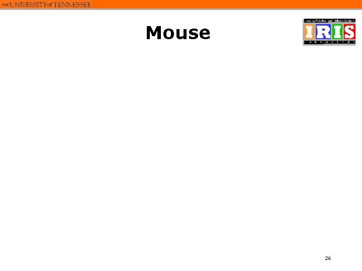 Mouse 26 