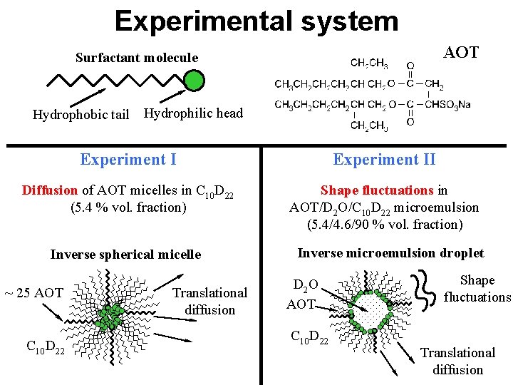 Experimental system AOT Surfactant molecule Hydrophobic tail Hydrophilic head Experiment II Diffusion of AOT