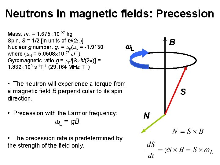 Neutrons in magnetic fields: Precession Mass, mn = 1. 675 10 -27 kg Spin,