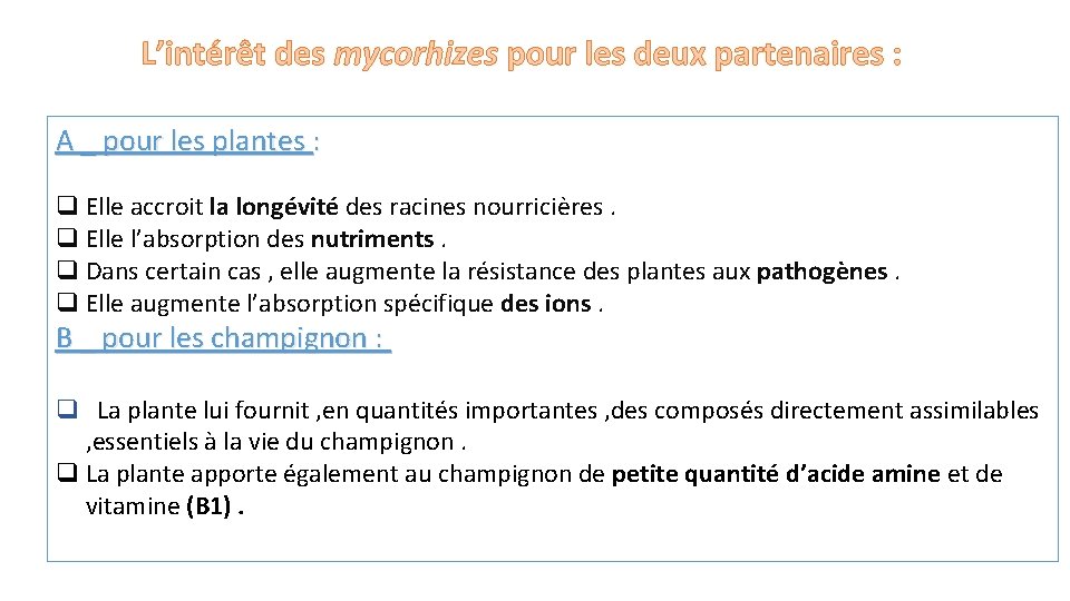 L’intérêt des mycorhizes pour les deux partenaires : A _ pour les plantes :