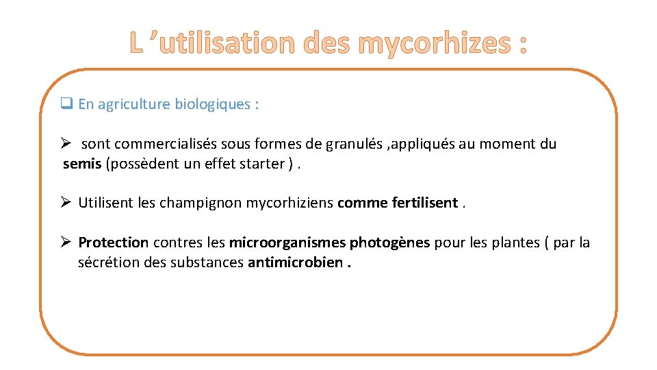 L ’utilisation des mycorhizes : q En agriculture biologiques : Ø sont commercialisés sous