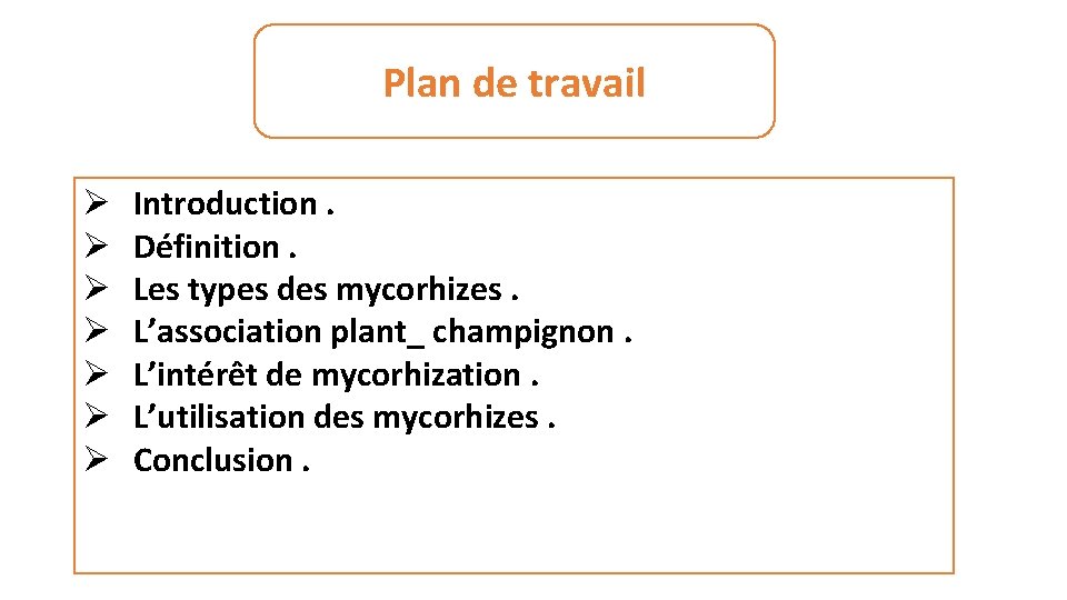 Plan de travail Ø Ø Ø Ø Introduction. Définition. Les types des mycorhizes. L’association