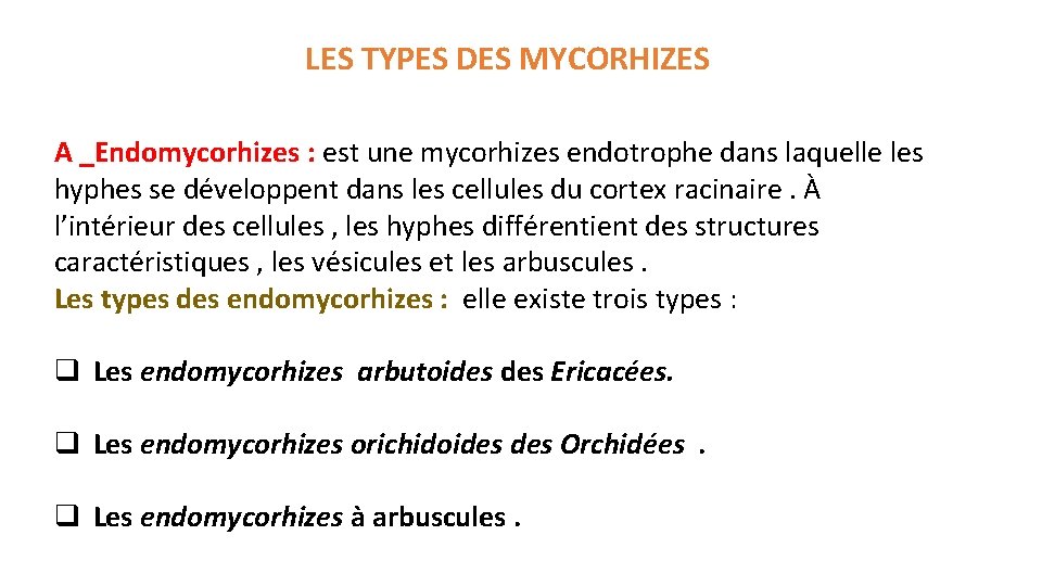 LES TYPES DES MYCORHIZES A _Endomycorhizes : est une mycorhizes endotrophe dans laquelle les