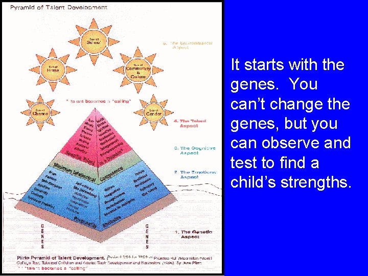 It starts with the genes. You can’t change the genes, but you can observe