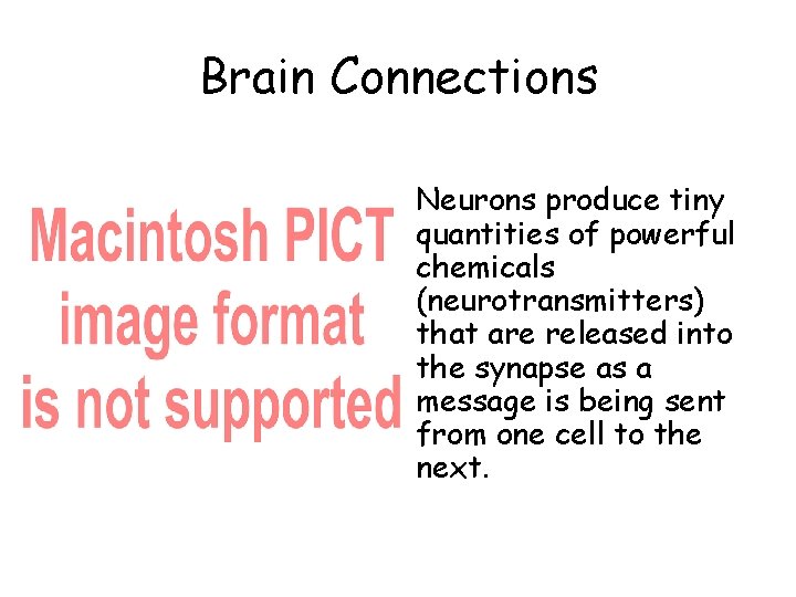 Brain Connections • Neurons produce tiny quantities of powerful chemicals (neurotransmitters) that are released