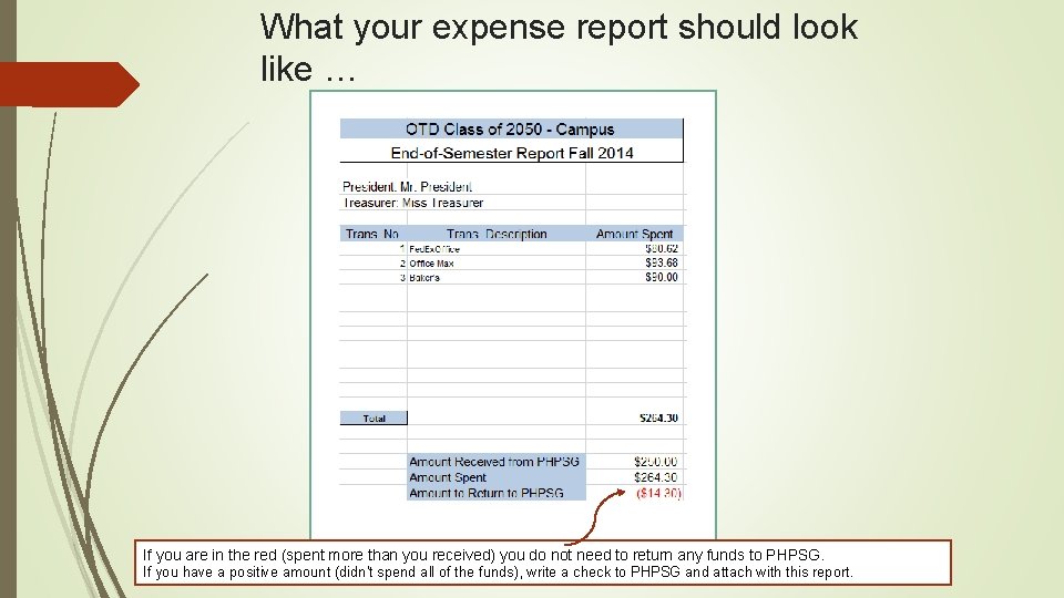 What your expense report should look like … If you are in the red