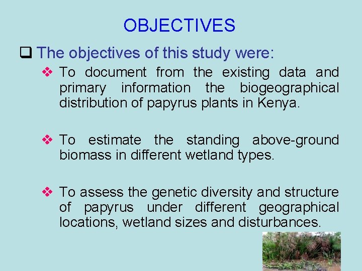 OBJECTIVES q The objectives of this study were: v To document from the existing