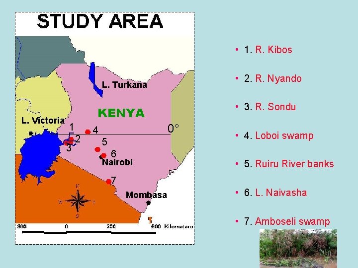  • 1. R. Kibos • 2. R. Nyando L. Turkana L. Victoria •