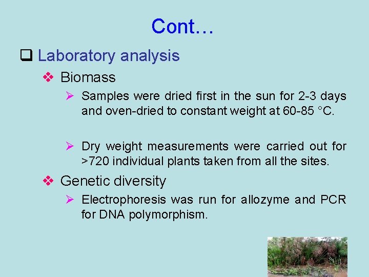 Cont… q Laboratory analysis v Biomass Ø Samples were dried first in the sun