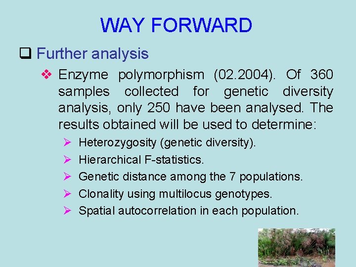 WAY FORWARD q Further analysis v Enzyme polymorphism (02. 2004). Of 360 samples collected