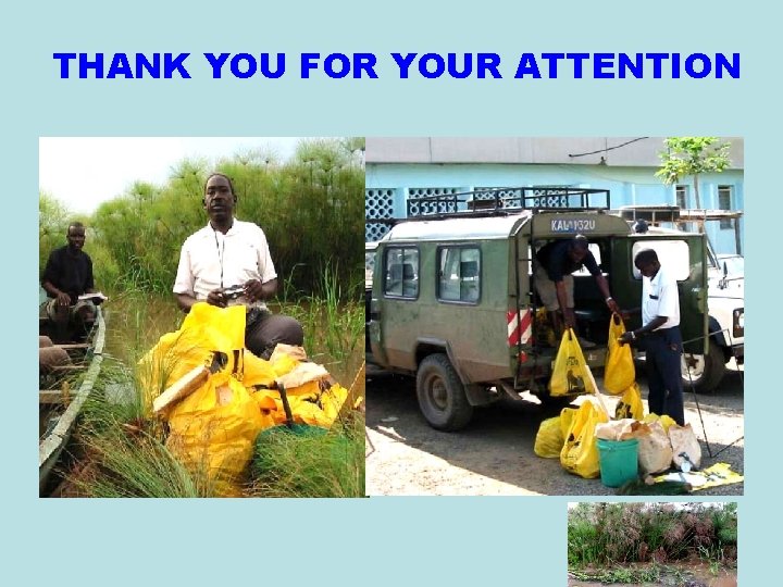 THANK YOU FOR YOUR ATTENTION 