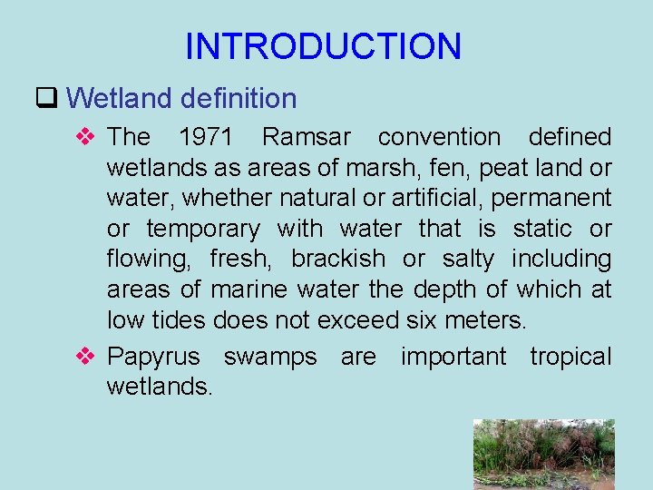 INTRODUCTION q Wetland definition v The 1971 Ramsar convention defined wetlands as areas of
