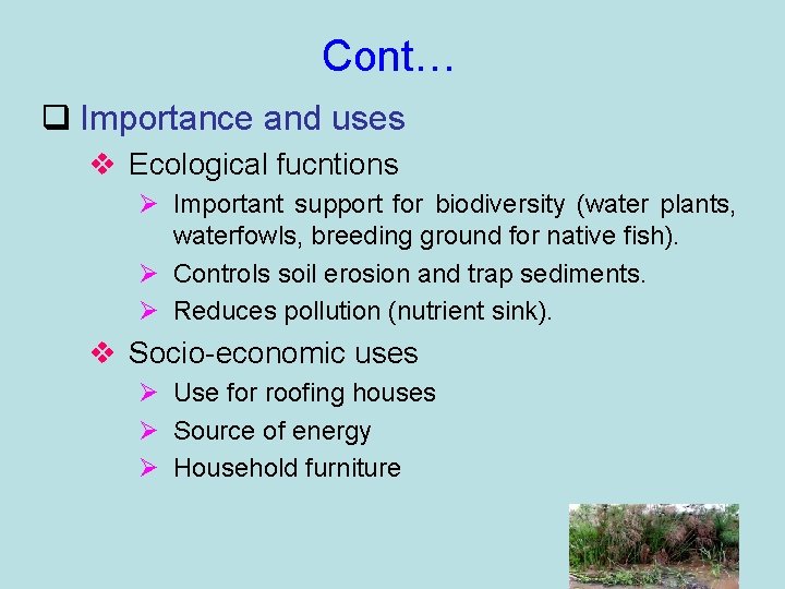 Cont… q Importance and uses v Ecological fucntions Ø Important support for biodiversity (water
