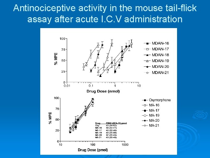 Antinociceptive activity in the mouse tail-flick assay after acute I. C. V administration 